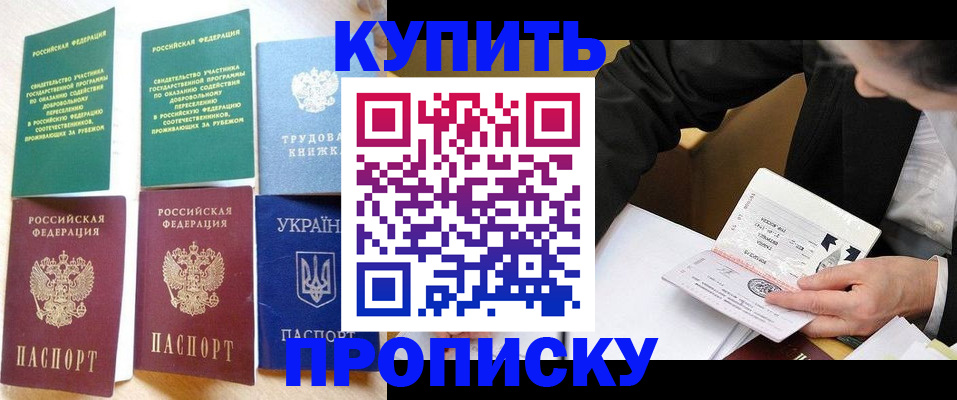 прописка для школы в Твери